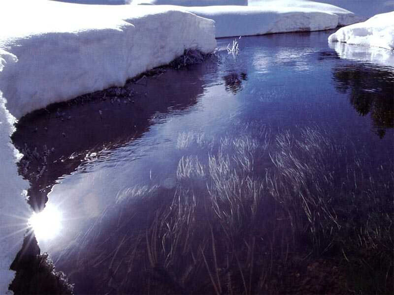 Snowmelt stream with sunlight