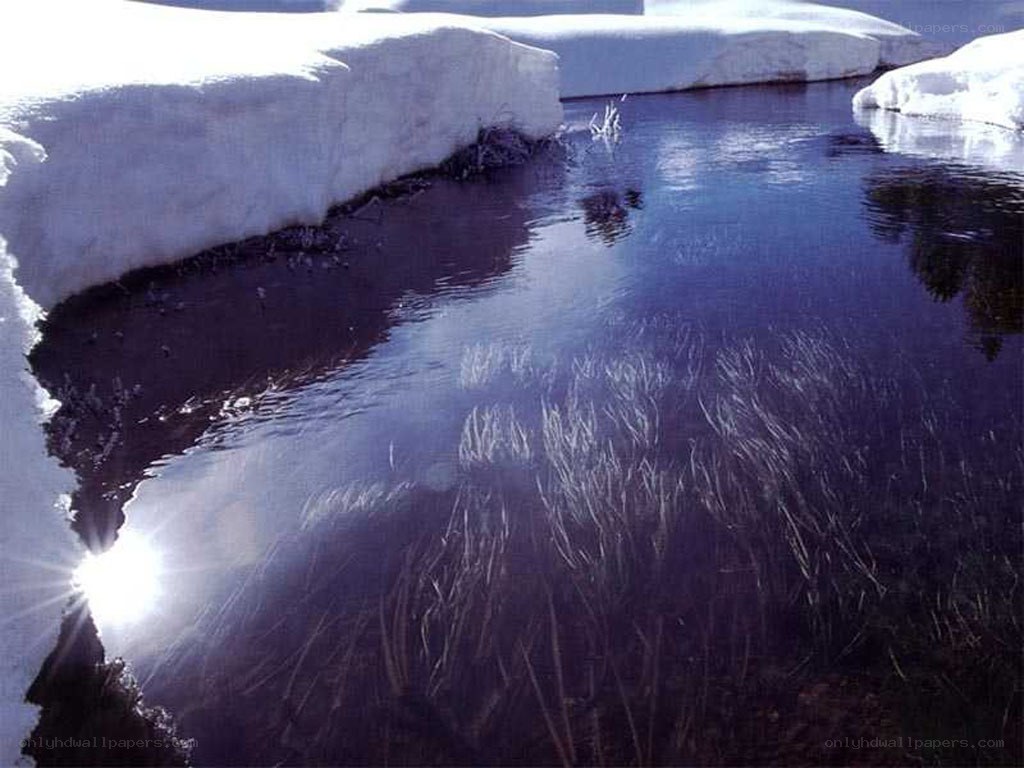 Snowmelt stream with sunlight