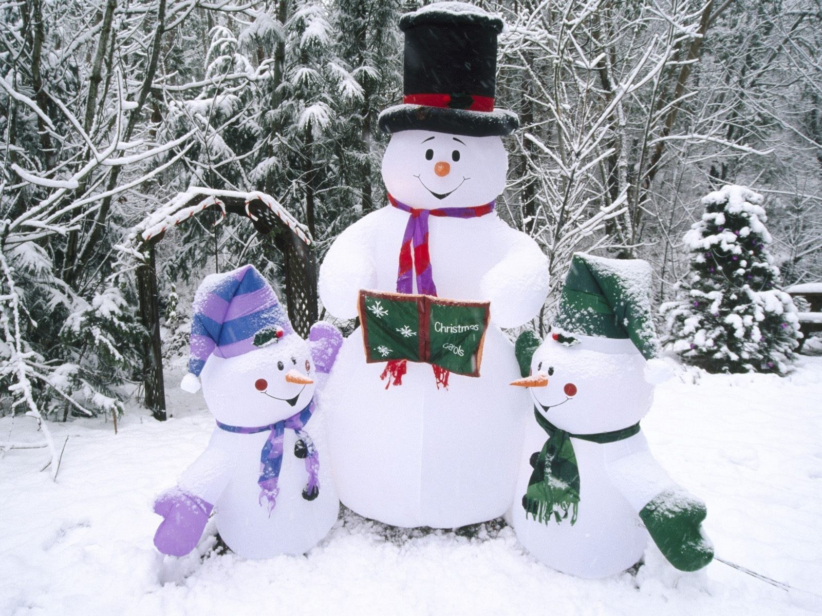 Snowmen in winter scene
