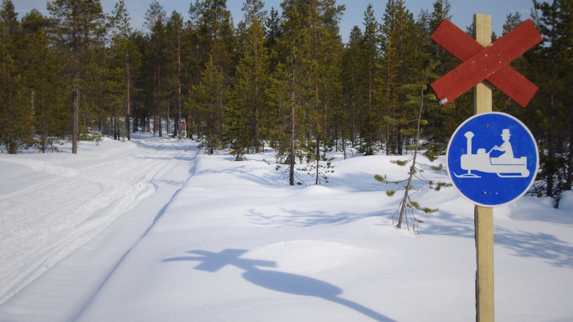 Snowmobile crossing sign in forest