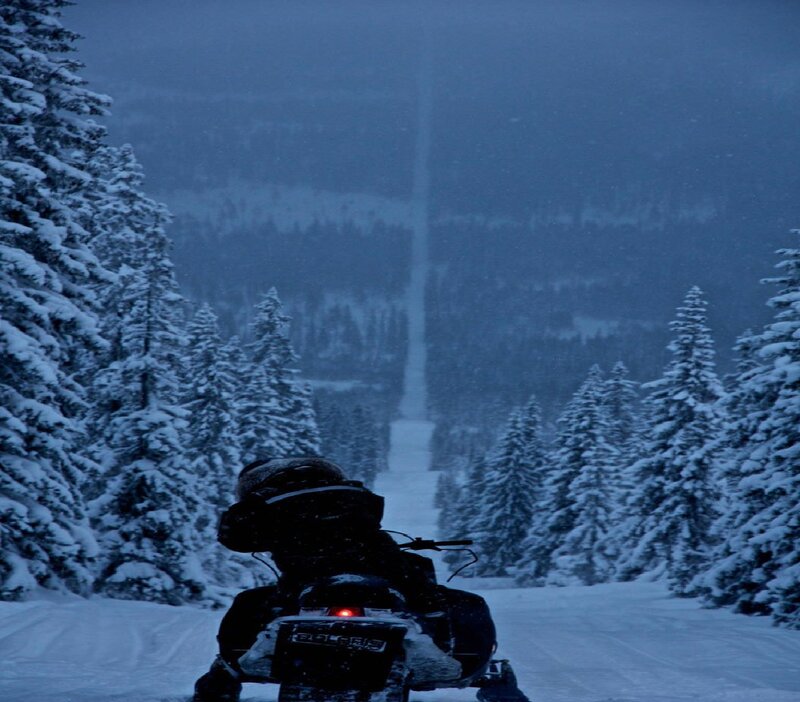 Snowmobile in Forest
