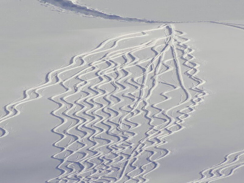Snowmobile Tracks in Snow