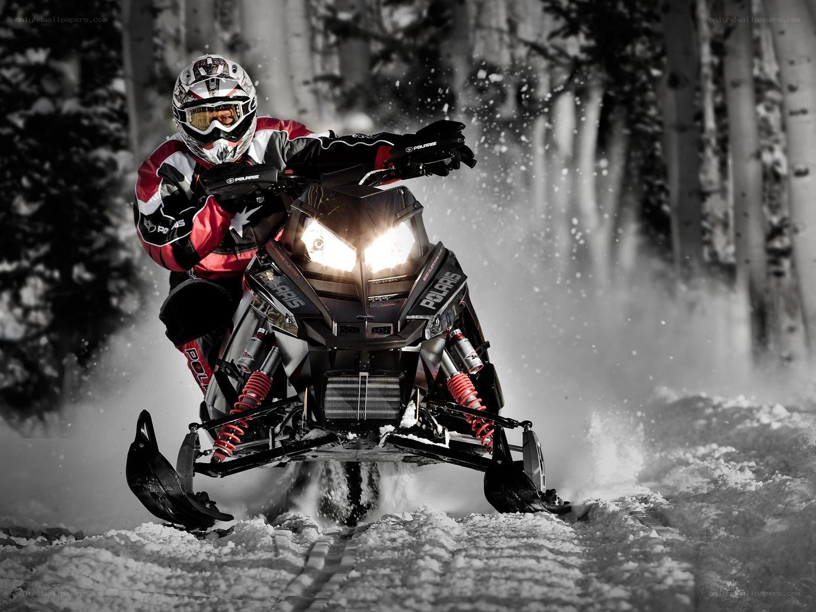 Snowmobiler in forest