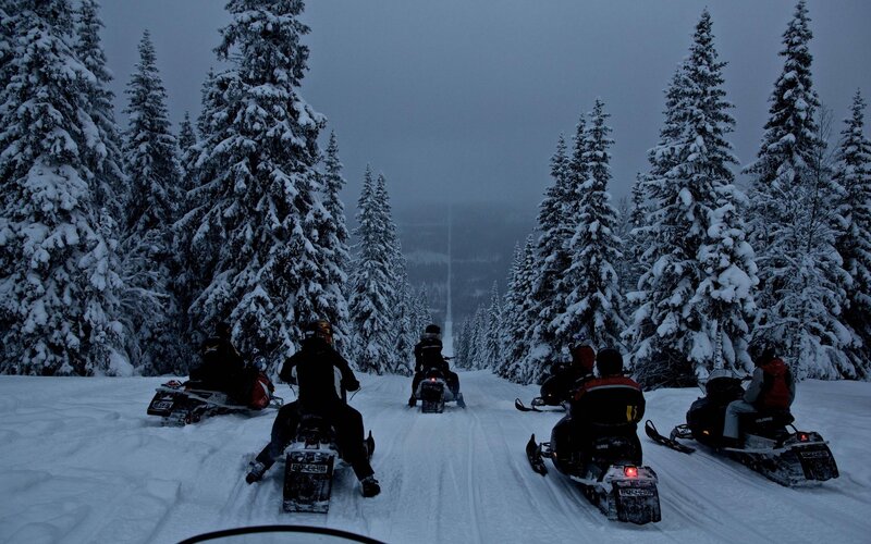 Snowmobilers in Forest