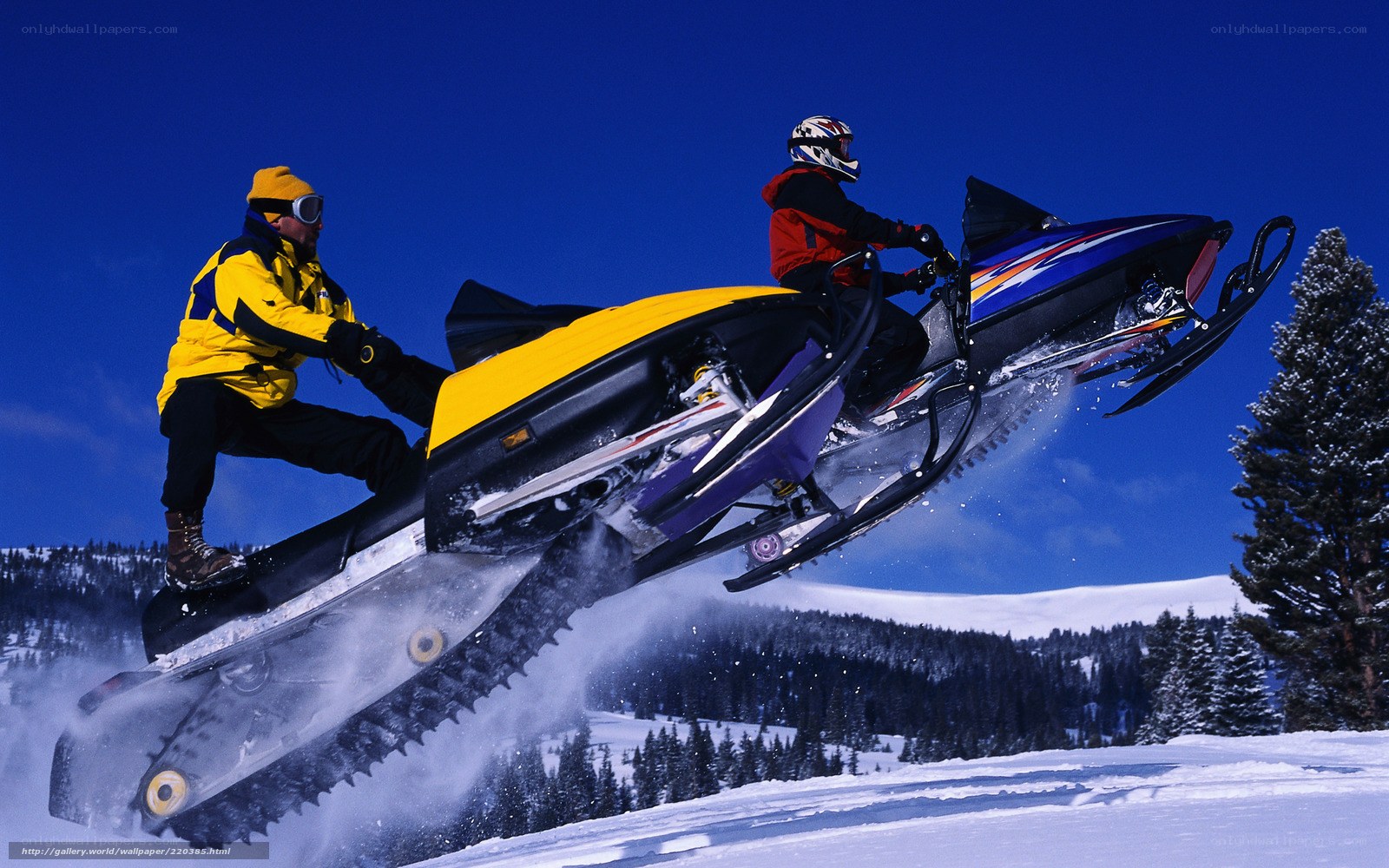 Snowmobilers in mid-air jump
