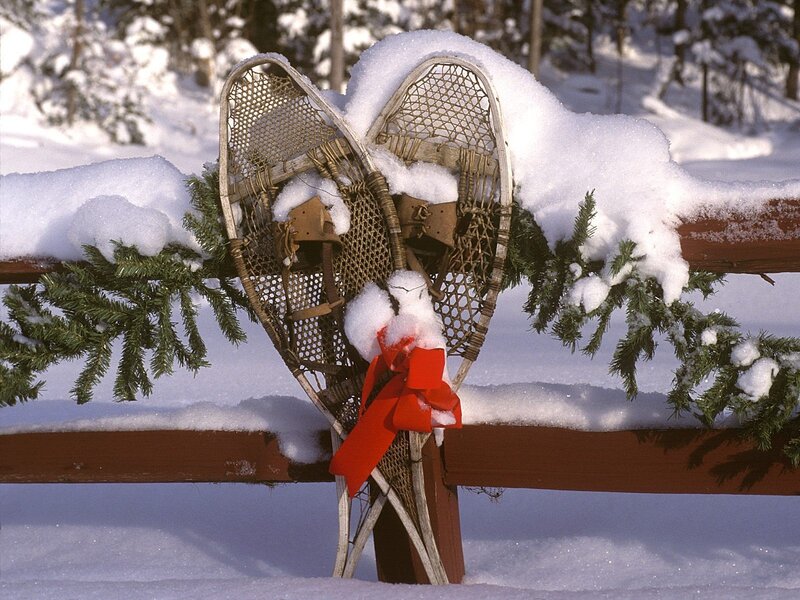 Snowshoes on a snowy fence