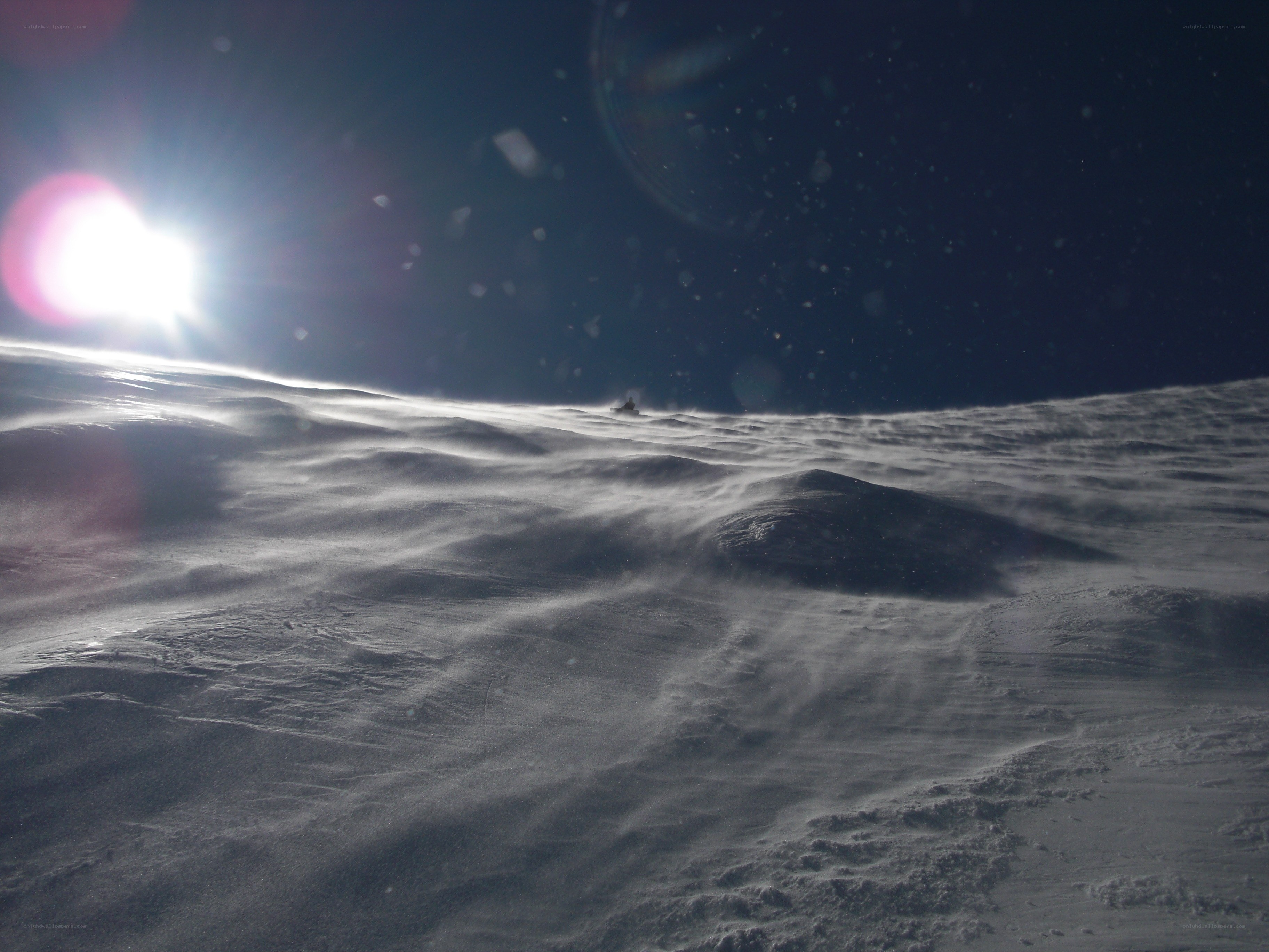 Snowstorm on a frozen landscape