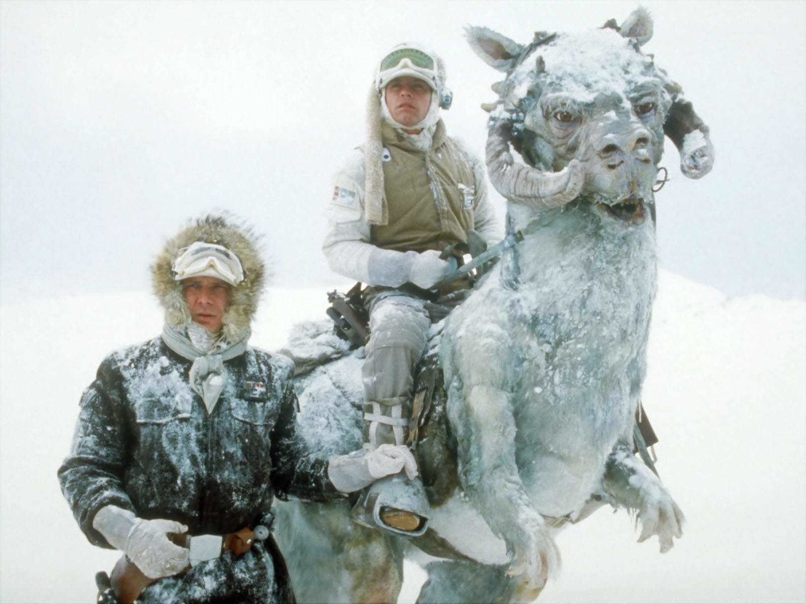 Snowtroopers on tauntaun
