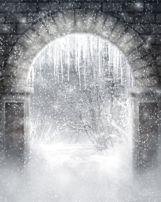 Snowy archway to winter forest