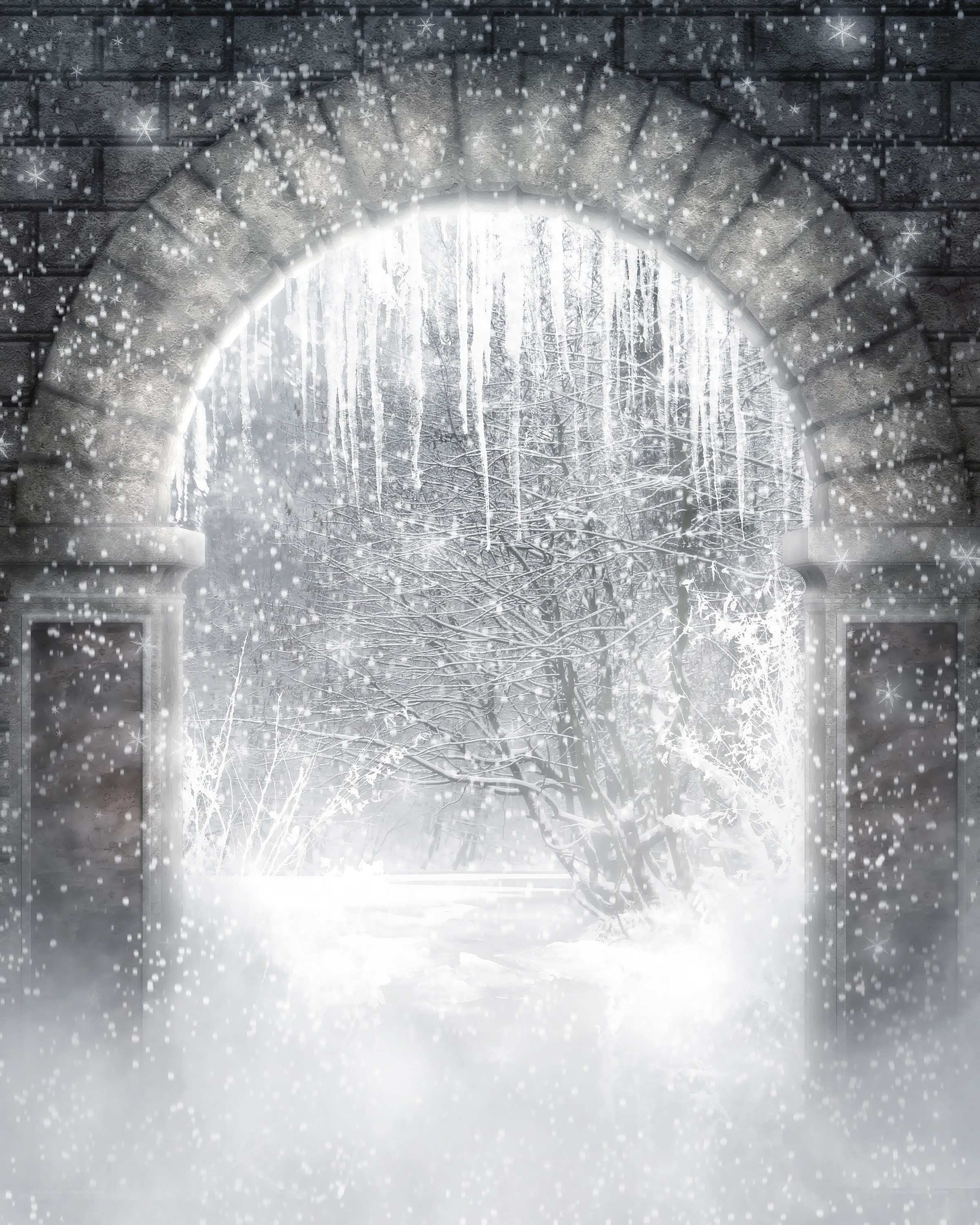 Snowy archway to winter forest