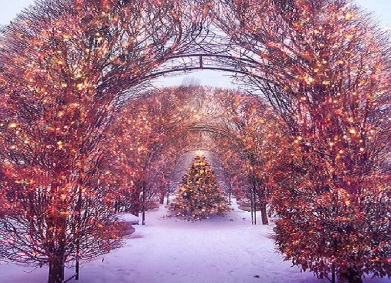 Snowy Archway with Lights