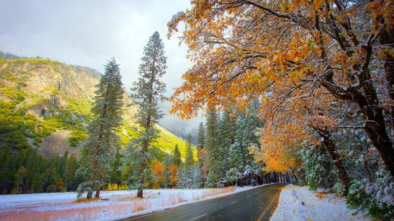 Snowy autumn road in the mountains