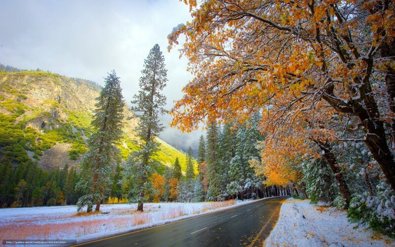 Snowy autumn road in the mountains