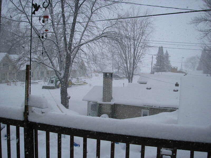 Snowy backyard during a blizzard