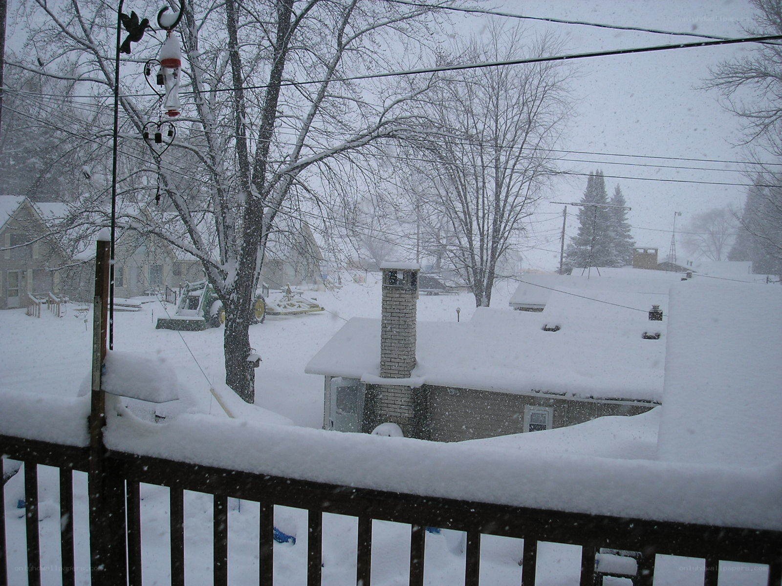 Snowy backyard during a blizzard