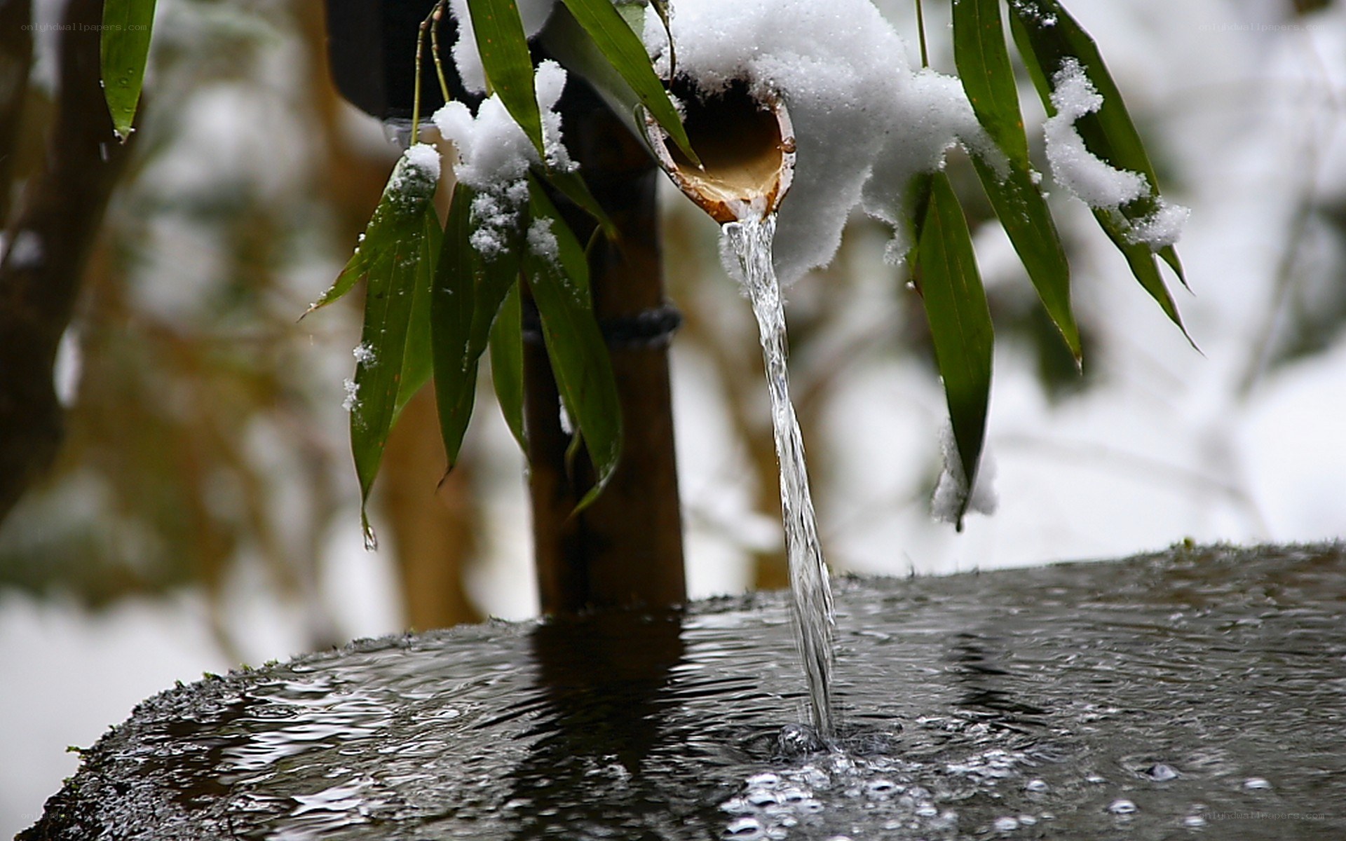 snowy bamboo water feature