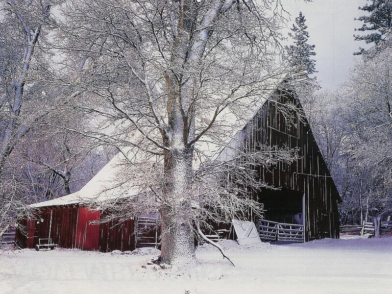 Snowy barn in winter