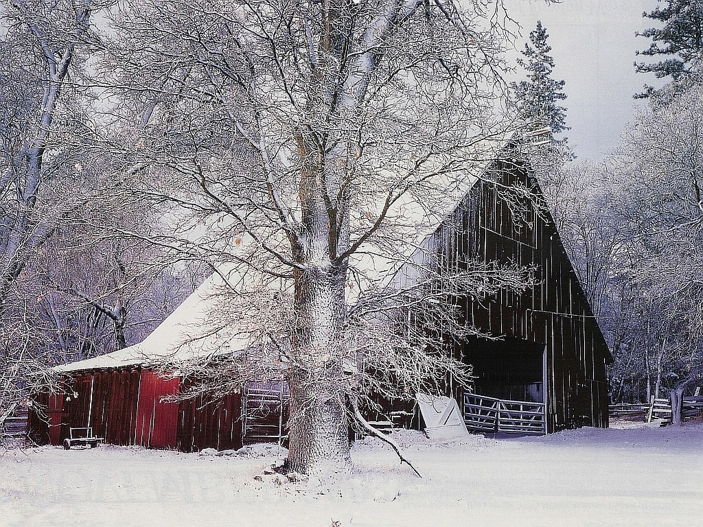 Snowy barn in winter