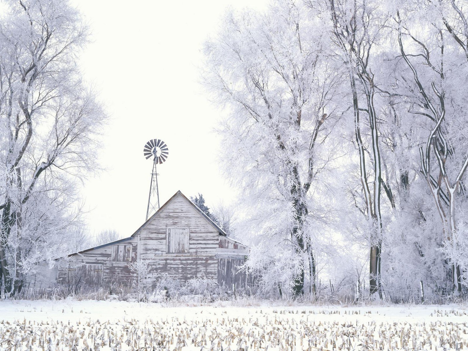 Snowy barn in winter landscape