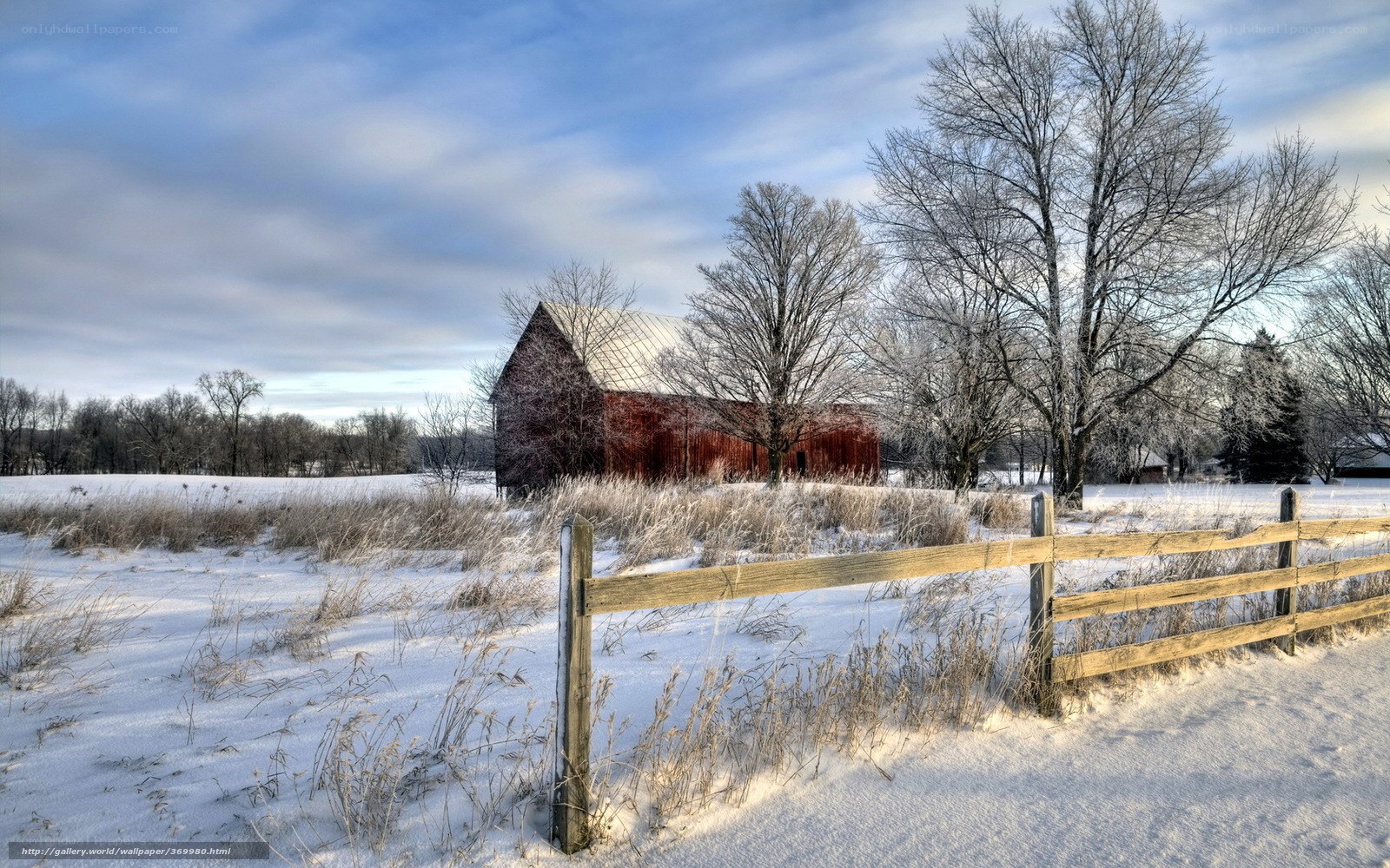 Snowy Barn in Winter Landscape
