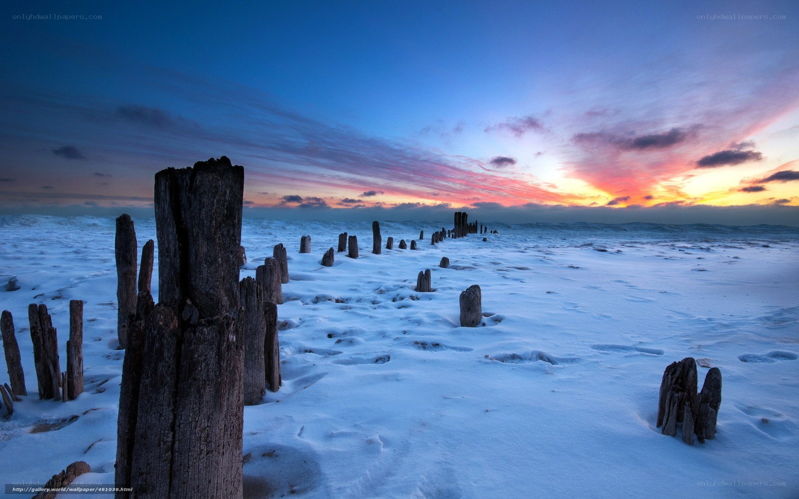 Snowy beach at sunset
