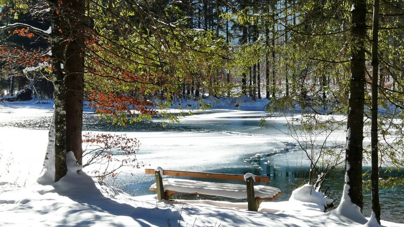 Snowy bench by a frozen lake