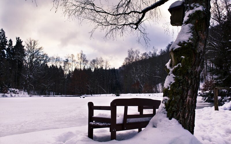 Snowy bench by frozen lake