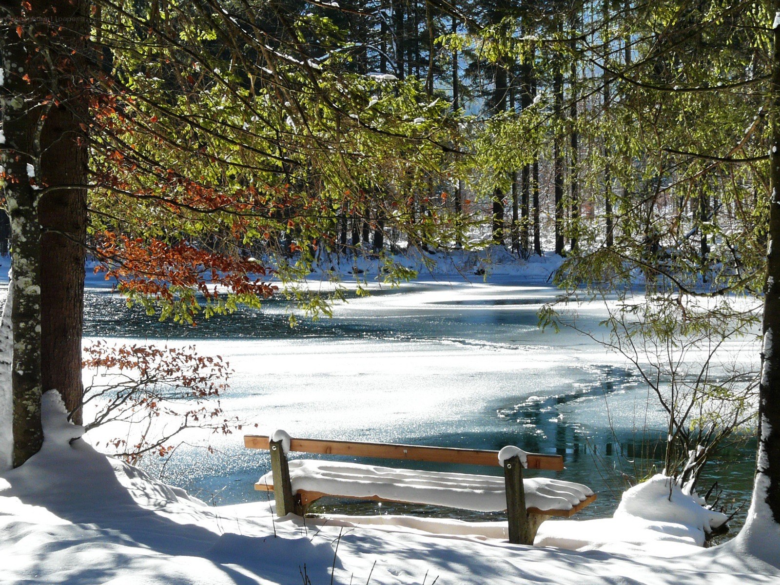 Snowy bench by frozen lake