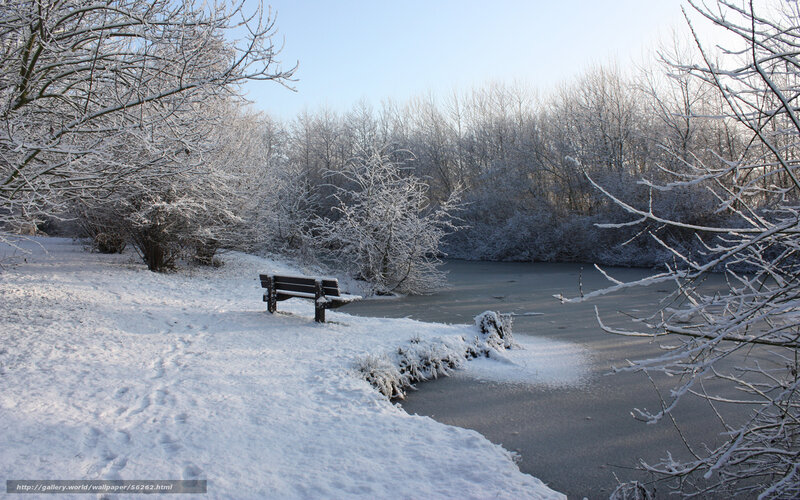 Snowy bench by frozen pond