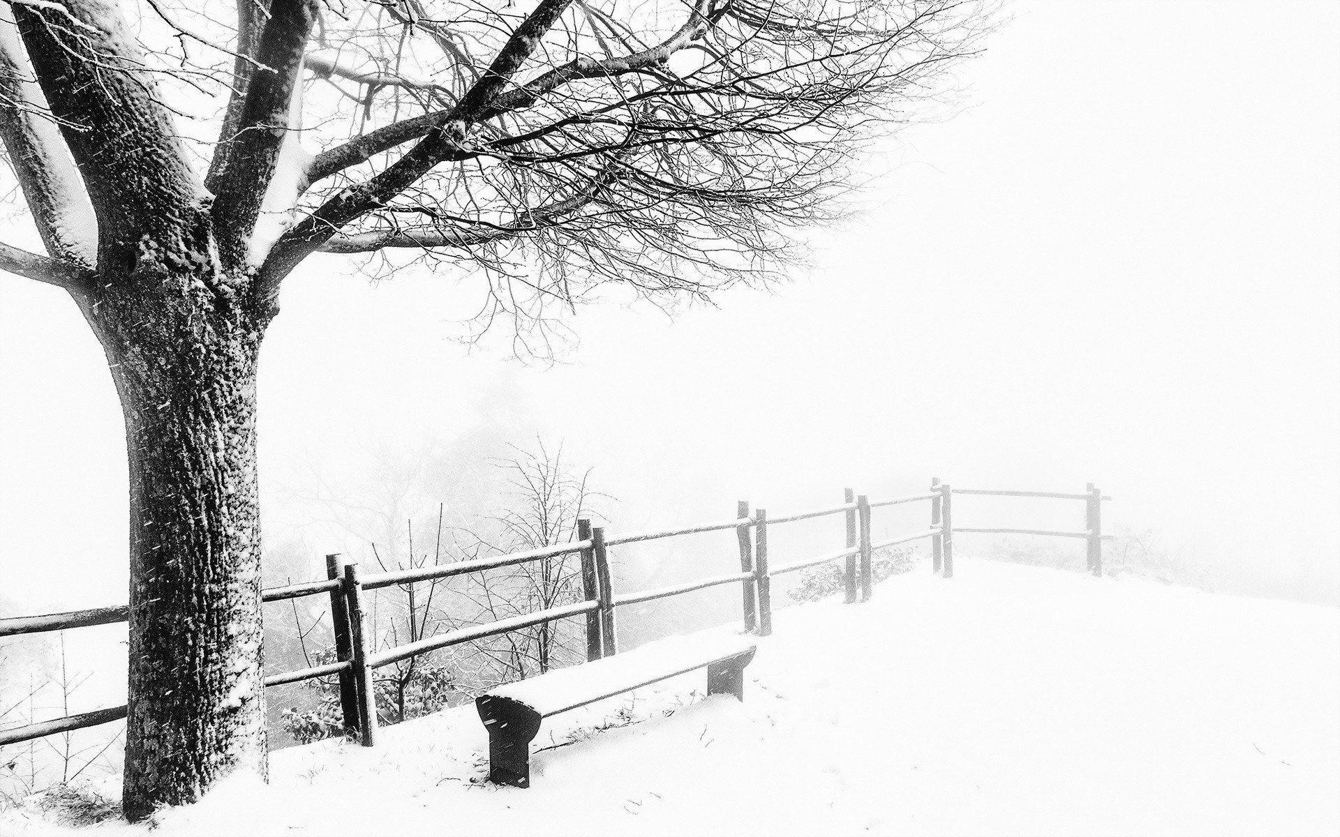 Snowy bench in fog