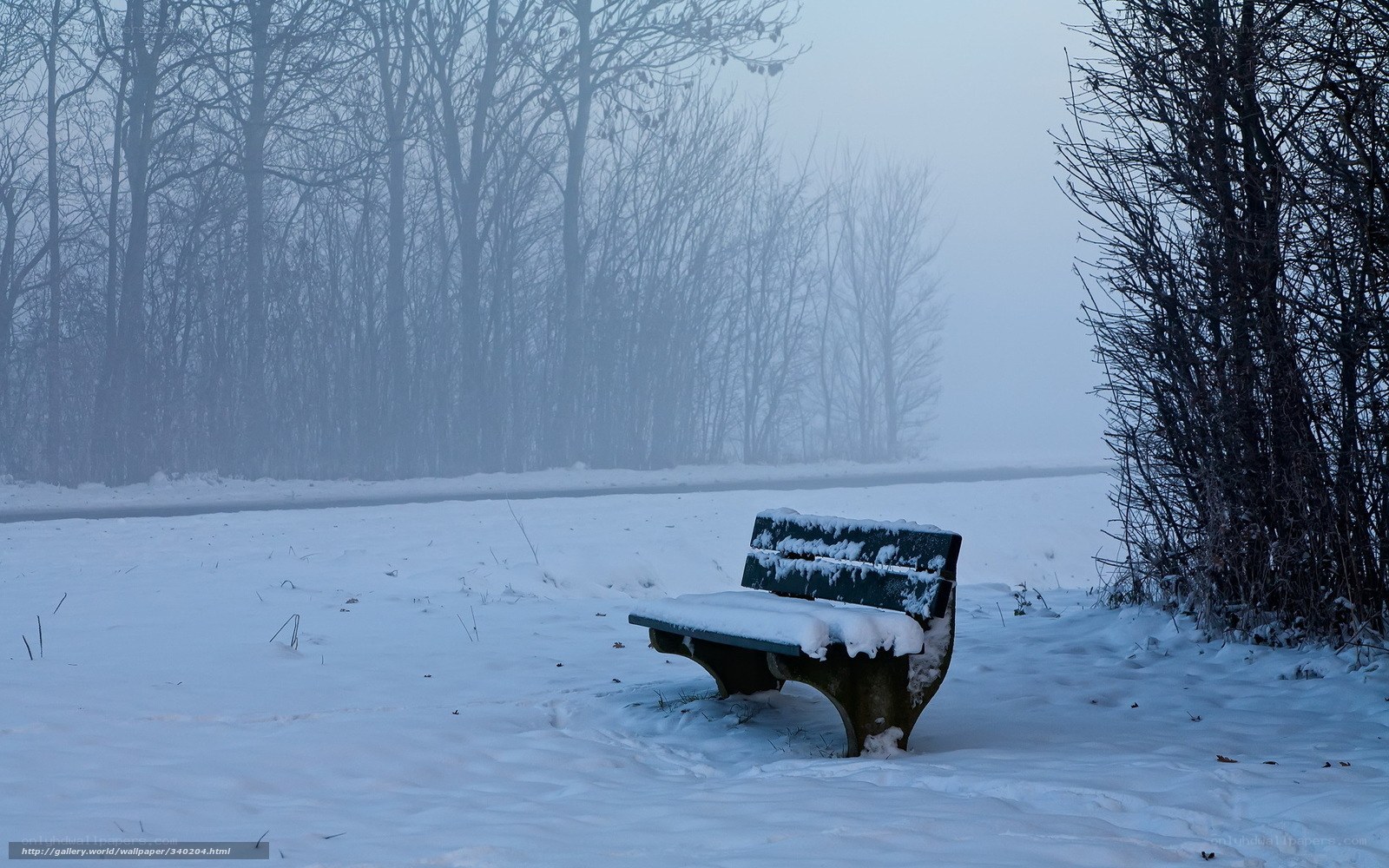 Snowy bench in foggy forest