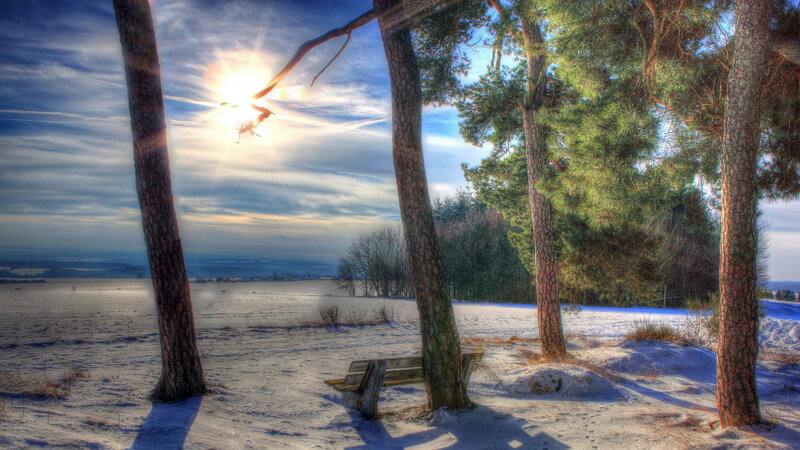 Snowy Bench in Forest