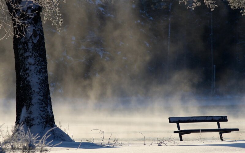 Snowy bench in mist