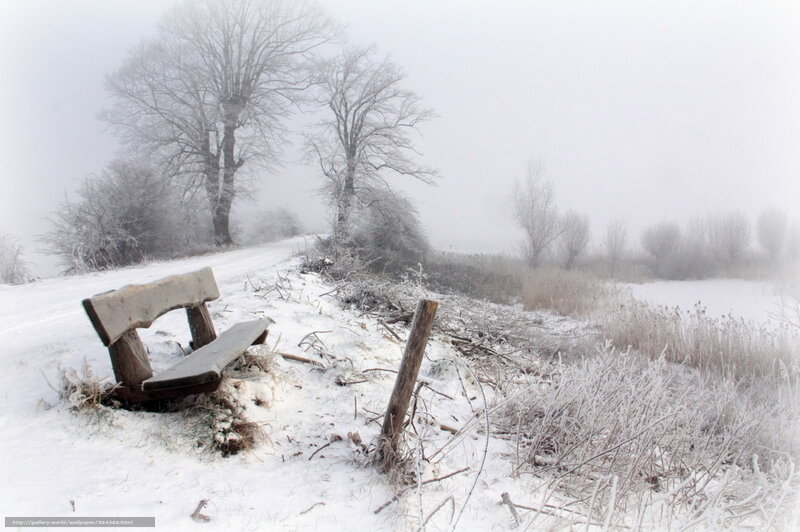 Snowy bench in winter fog