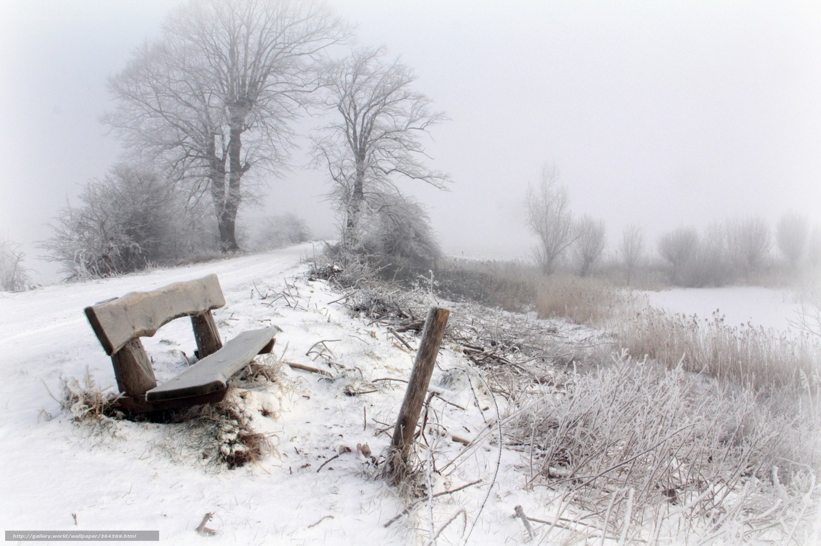 Snowy bench in winter fog