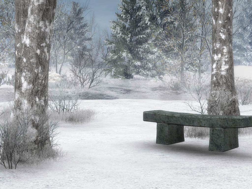 snowy bench in winter forest