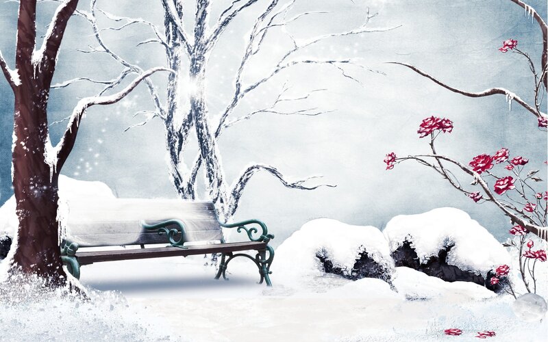 Snowy bench in winter garden