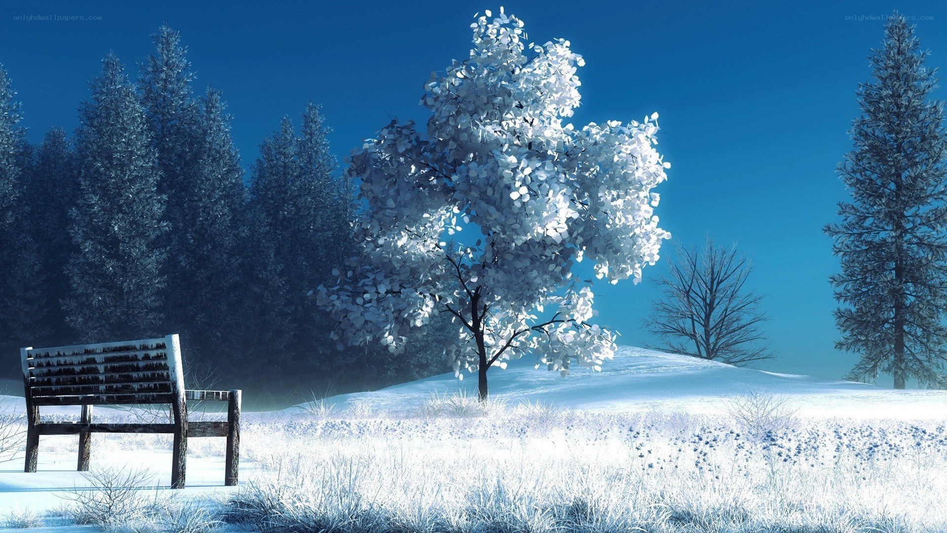 Snowy bench in winter landscape