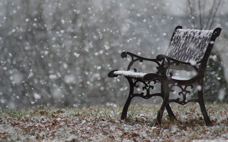 Snowy bench in winter