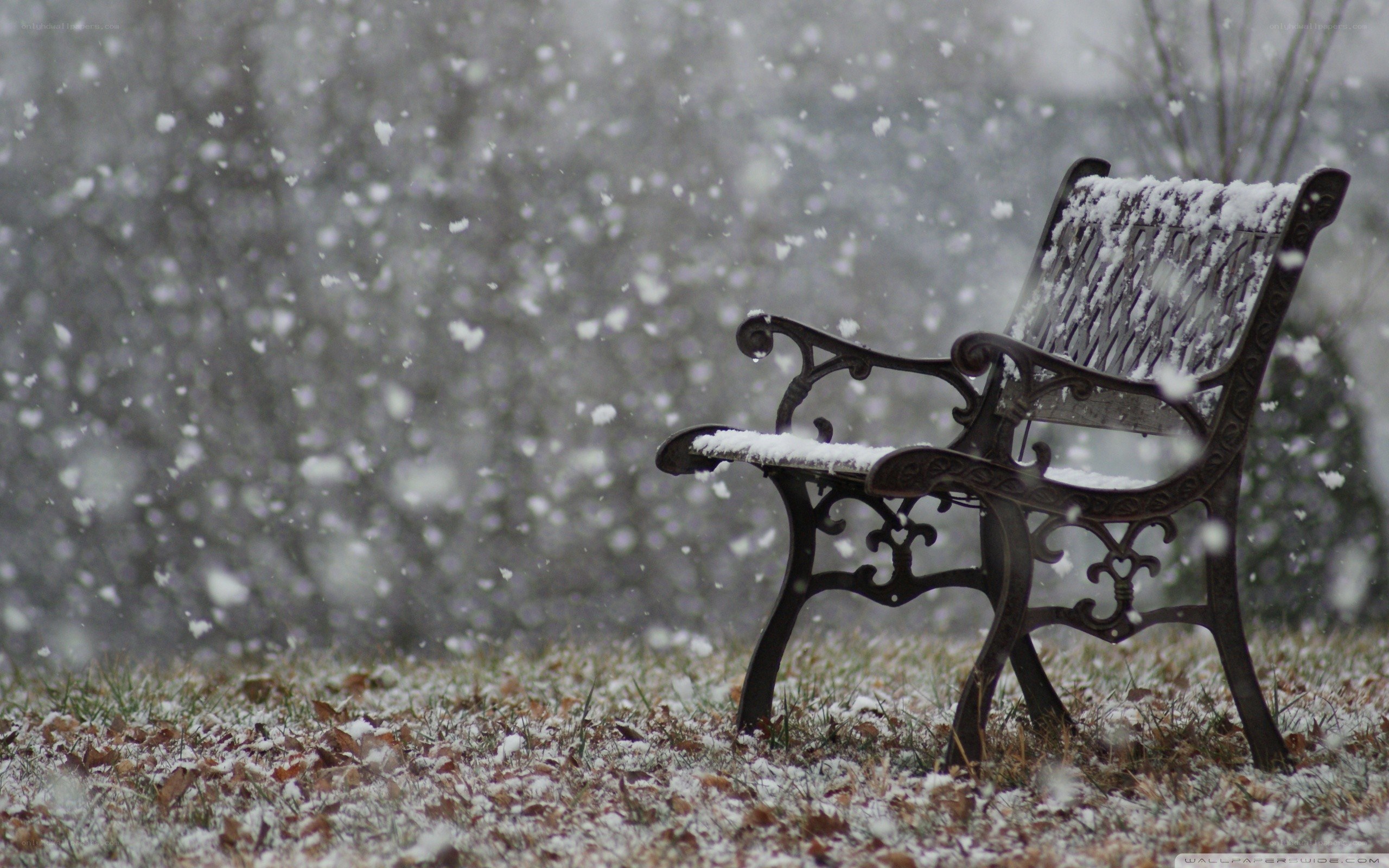 Snowy bench in winter