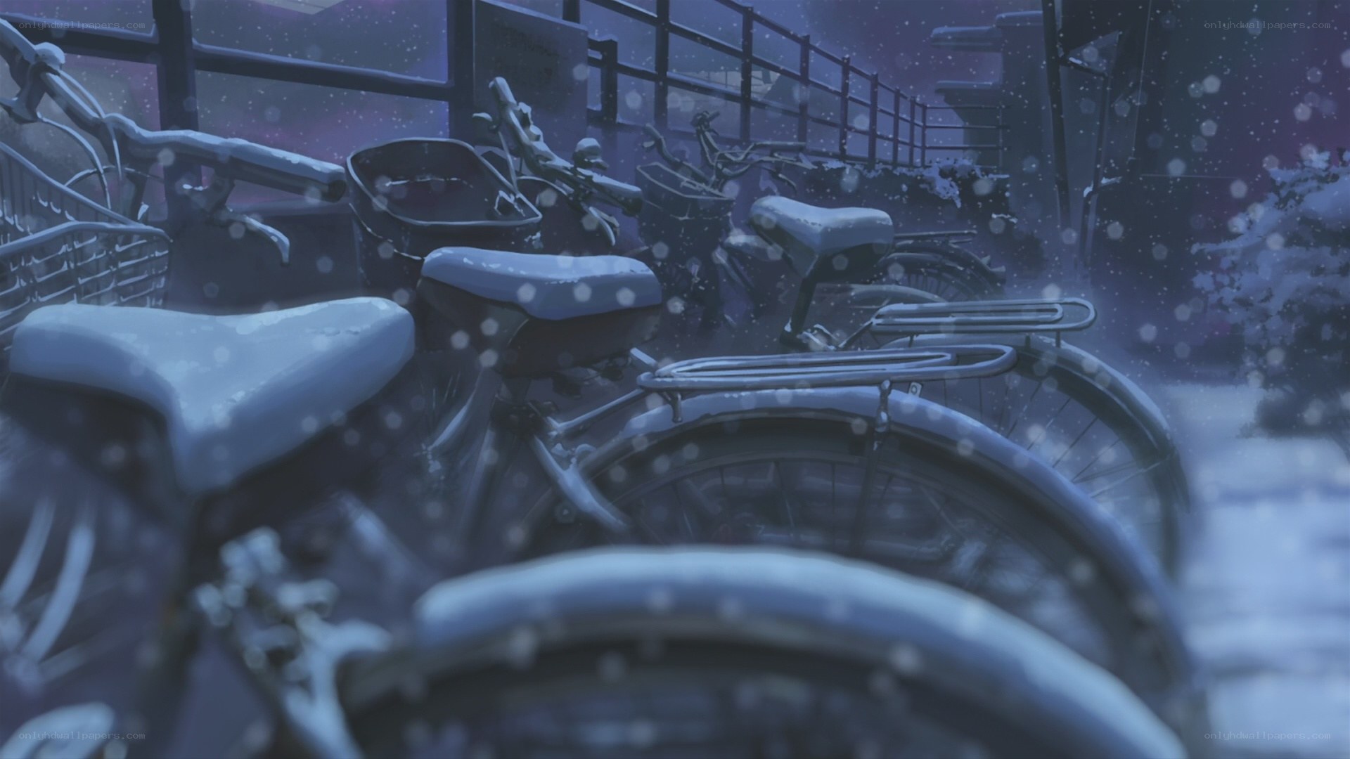 Snowy bicycle parking