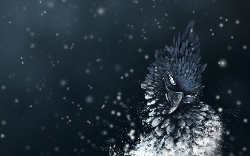 snowy bird in winter
