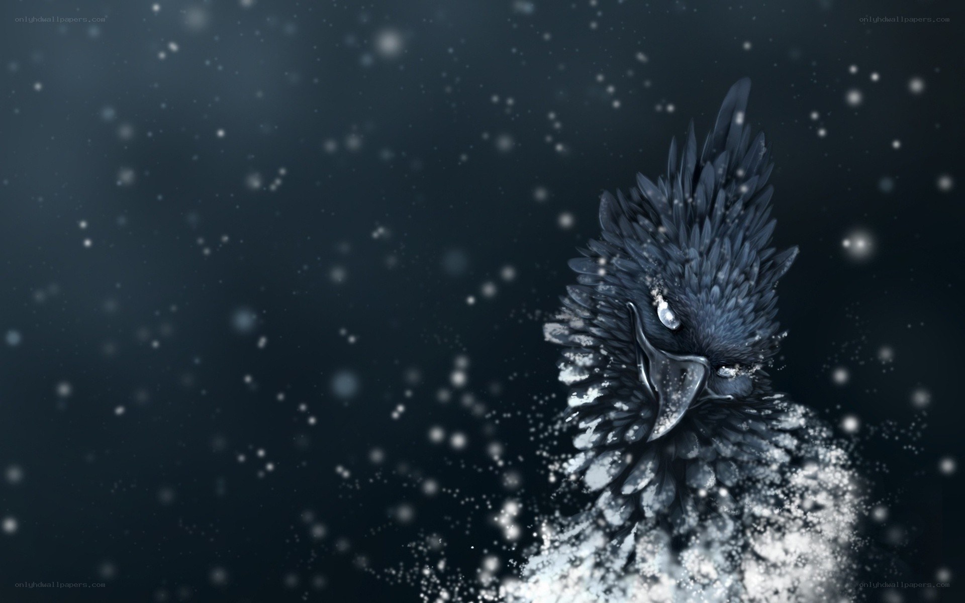 snowy bird in winter
