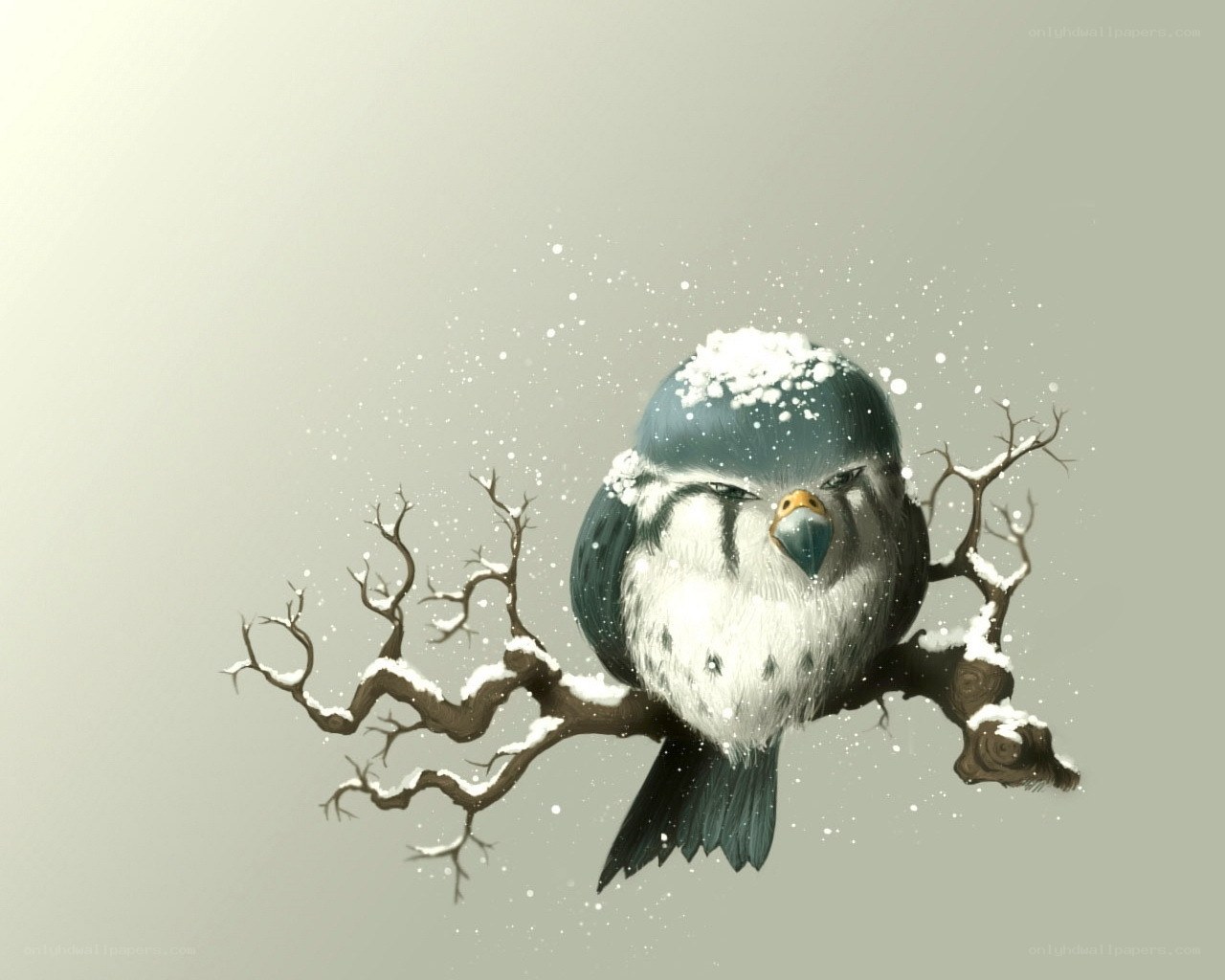 Snowy bird on a branch