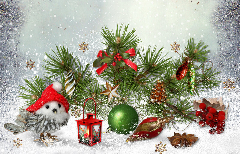 Snowy Bird with Ornaments