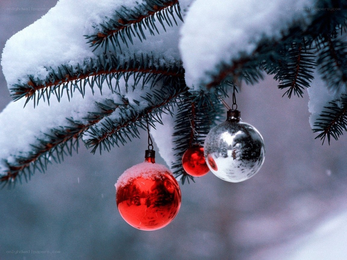snowy branch with ornaments