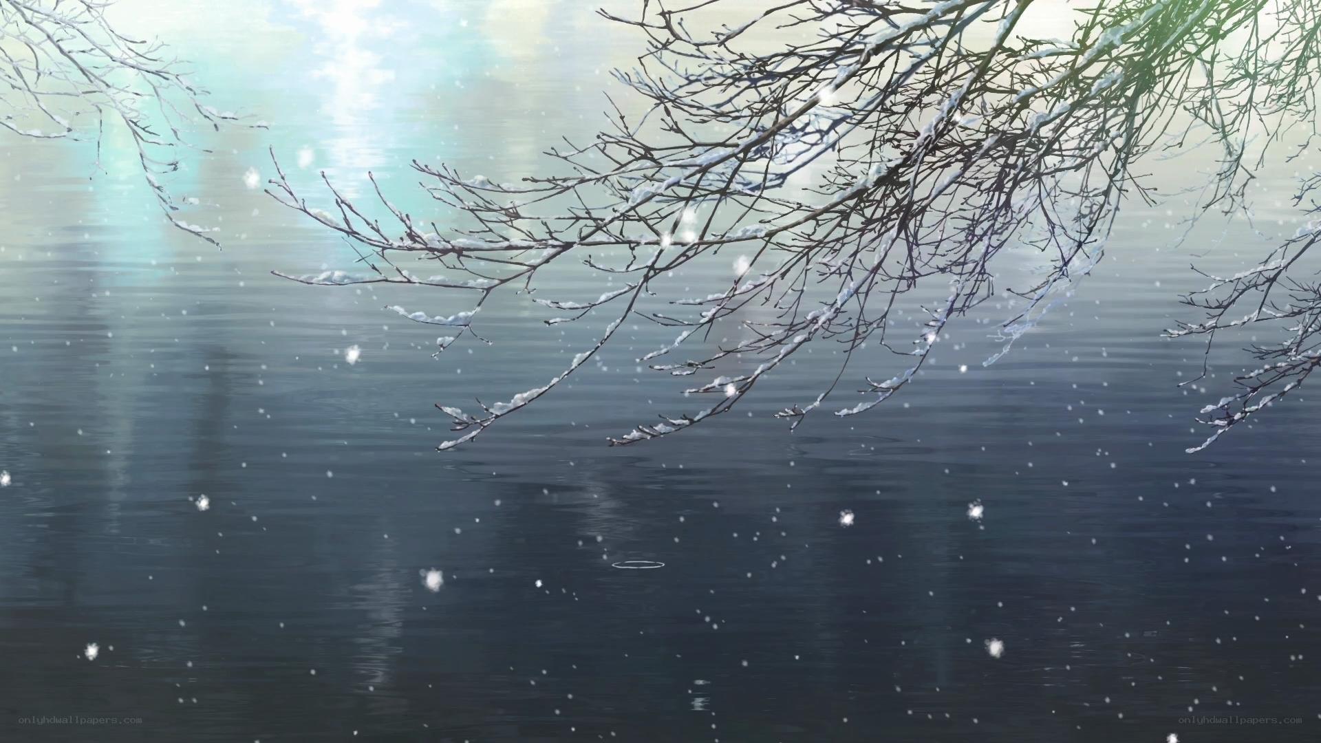 Snowy branches over a calm lake