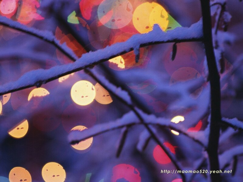Snowy branches with bokeh lights