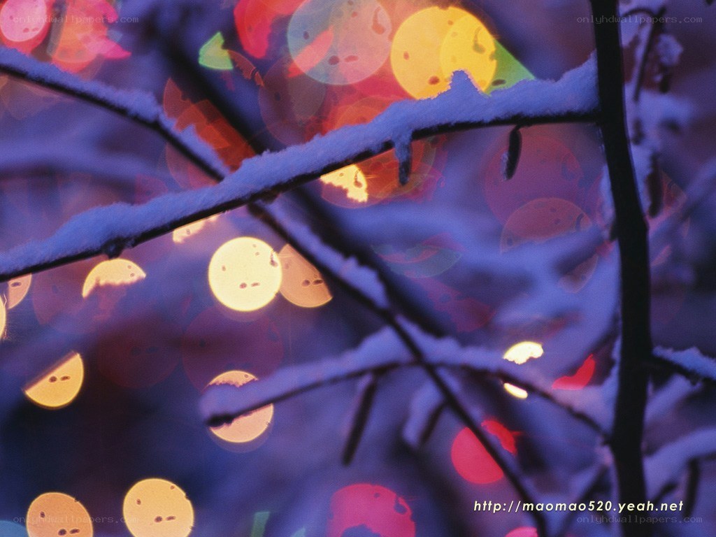 Snowy branches with bokeh lights