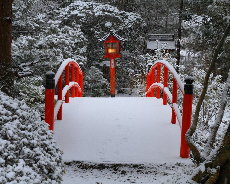 Snowy bridge in a forest